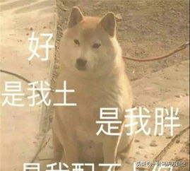  开心一刻我趁女友不注意,把我的微信备注改成了她前男友