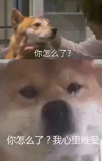 抖音你怎么了我没钱了图片分享 抖音你怎么了我没钱了图片分享