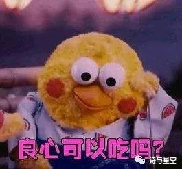 摸着良心说话的表情包服