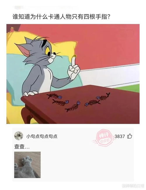  终于知道迷彩服的重要性了,进山就隐身背包怎么飘了