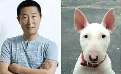 明星和动物的照片放一起时,杨洋撞脸动物界,看到三小只时我笑了 明星和动物的照片放一起时,杨洋撞脸动物界,看到三小只时我笑了