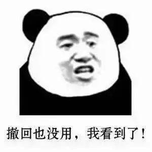  熊猫头表情包i天冷能去你怀里暖暖吗