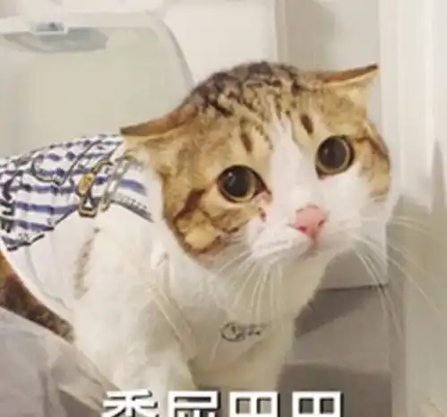 韩国年龄算法多达四种有的小孩出生1天就两岁了 韩国年龄算法多达四种有的小孩出生1天就两岁了