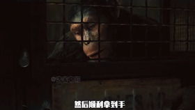  诅咒易拉罐这个男人被易拉罐盯上了,在哪里都会被易拉罐砸中