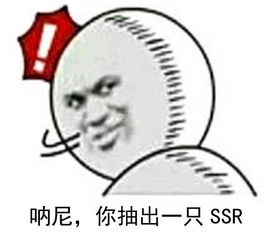  阴阳师搞笑表情包我怀疑ssr,根本就没有在我的卡他实装