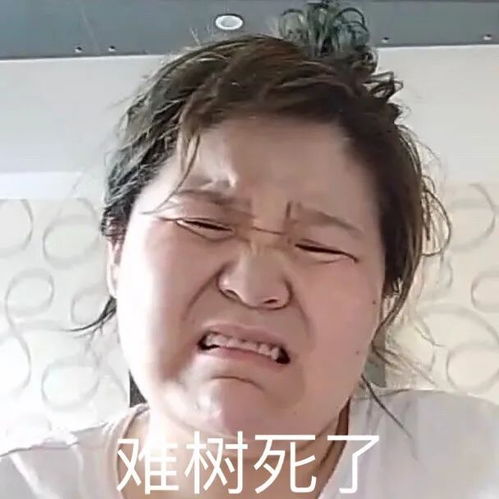  大无语事件发生,我创业失败了