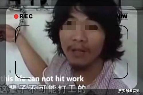  这辈子都不可能打工,网红文化还要无底线的红下去