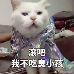 猫咪老师表情包带字爱猫
