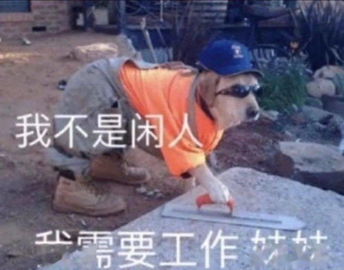 西伯利亚表情包打工