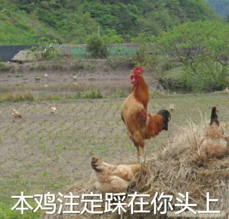  表情包靓仔习惯了孤独