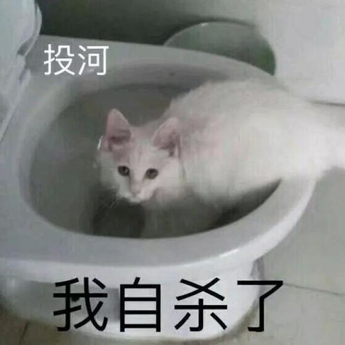  看了让人心软的认错表情包你再不理我,你将失去我这个小可爱