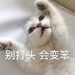 不舍得国庆 不舍得国庆