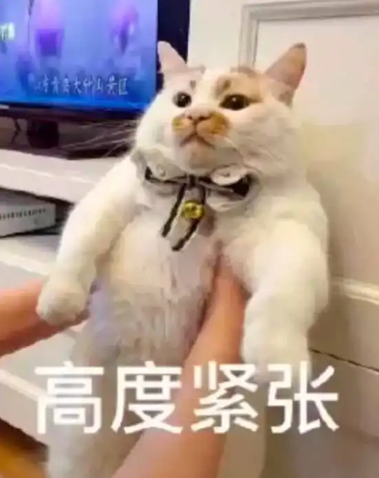 sufe学术丨您有一封来自贴心学姐的讲座邀请函 sufe学术丨您有一封来自贴心学姐的讲座邀请函