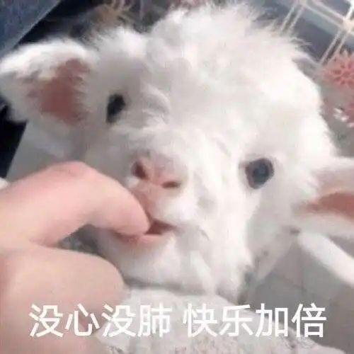 权志龙表情包搞笑沙雕呼