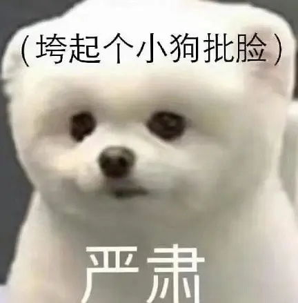 哈皮狗表情包表情包