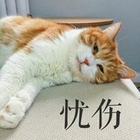  忧伤猫表情包微信头像图片大全