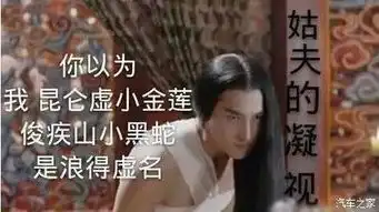 夜华表情包后宫