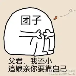  白浅夜华相遇表情包