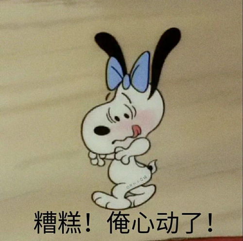  乱七八糟的表情包,我可太喜欢了