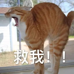  出差金华想找附近的美女约会,结果约来一条美女蛇......