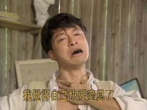  陈坤高低眉马景涛咆哮帝盘点明星中的10位表情帝