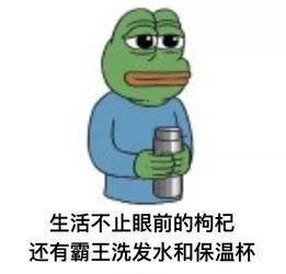  100块承包你的一整年,生活仪式感真的不贵
