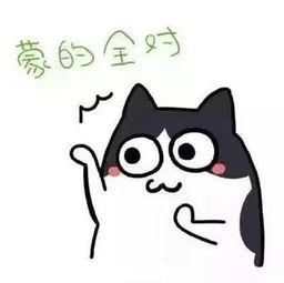  考试周不要叫我名字,请叫我过儿