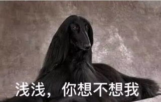 三生三世大结局已经开始想念姑父了没关系,我们有夜华豪华表情包