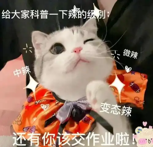  如何用表情包来表达该交作业啦