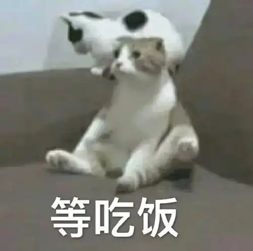  美团头像爱可以晚点,外卖不能迟到