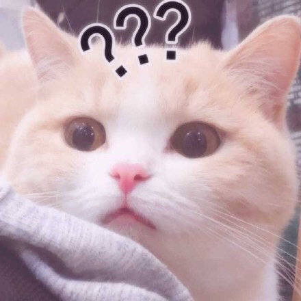  可爱小猫咪表情包安安静静做个废物挺好的