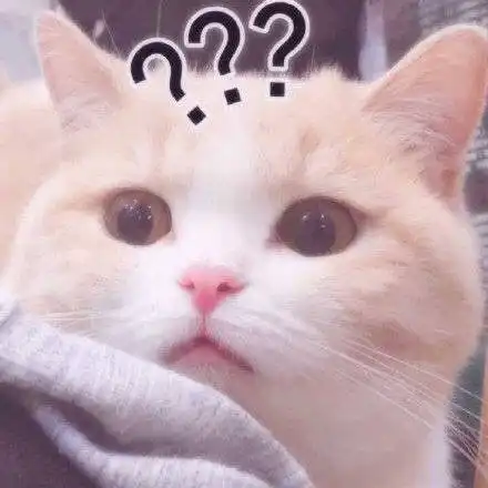  可爱小猫咪表情包安安静静做个废物挺好的