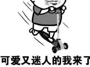  斗图表情包你不理我的时候,我总以为你在做头发