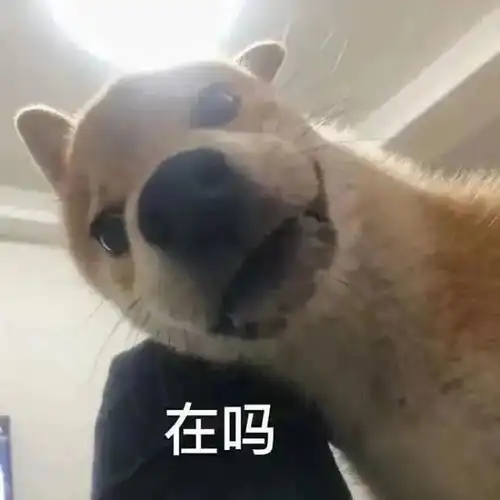  用这些表情包,给思聪去油