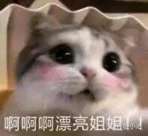  有没有好兄弟的表情包