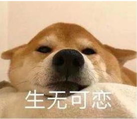  进出全靠钻沪上一小区为何惊现自挖门洞