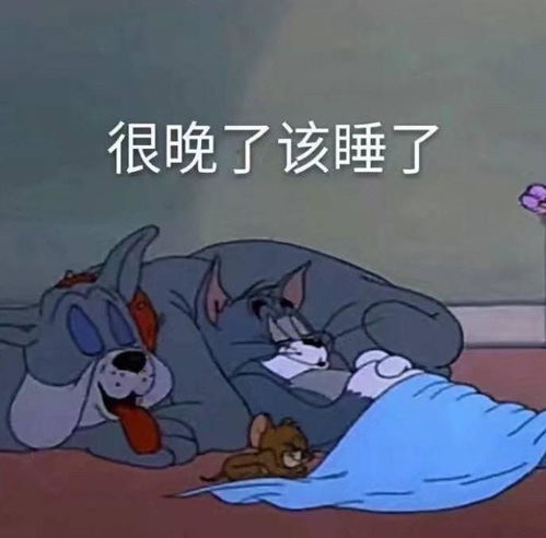  猫和老鼠表情包我怀了你的崽