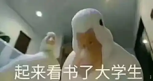 同学你的表情包掉了 同学你的表情包掉了