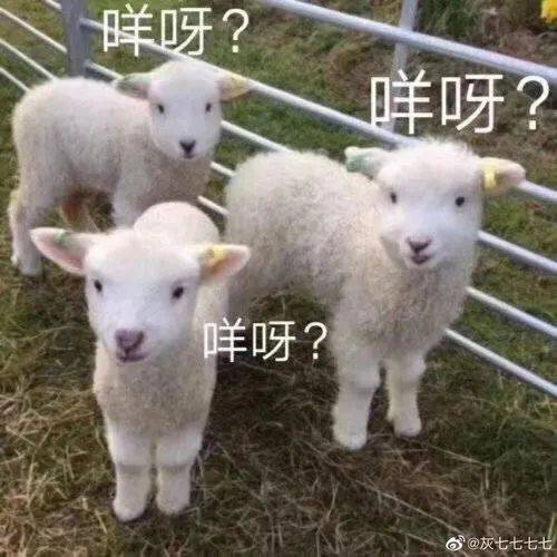 真香表情包图片可配字羊