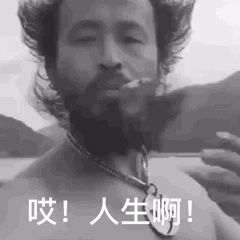  生活不放过你,你也别放过它