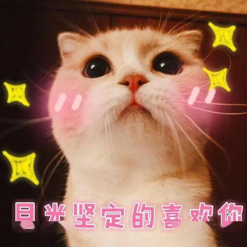  2020千万别穿衬衫裙太美太气质了