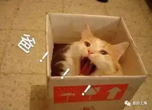 同一个世界同一个爸上海老爸最常见的10句口头禅请对爸入座 同一个世界同一个爸上海老爸最常见的10句口头禅请对爸入座