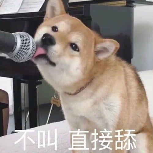  撩人表情包取图片微信聊天,怼人必备