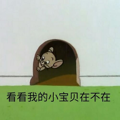  有哪些适用于和女生聊天开场白的表情包