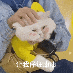  历史回顾大脸猫球球表情包第二弹
