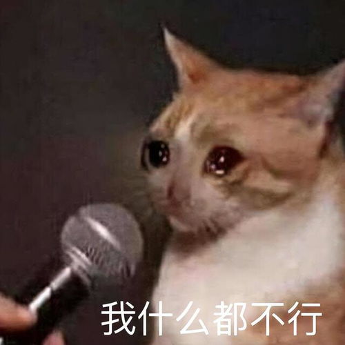 乱码狗头表情包讲起