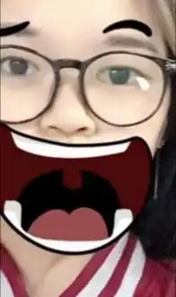  这个表情贴纸是那个手机软件带的美图秀秀我看了没有啊也