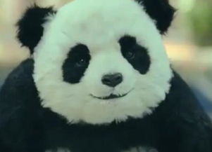  你知道表情包这么666的熊猫怎么来的吗