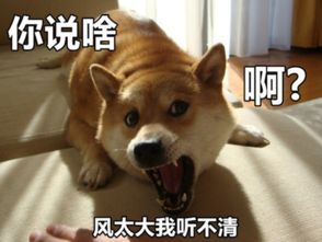  新闻哥女子产后8天遭丈夫婆婆家暴被勒令三从四德醒醒这是21世纪