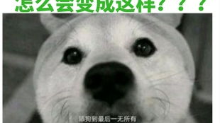  中国爆火的表情包流传到日本竟然会变成这样舔狗果然没有好结局